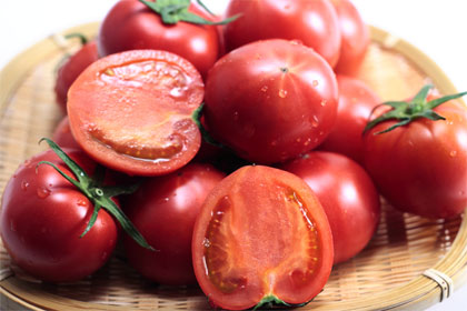 高知県の特産物徳谷トマトの秘密 お値段も高級